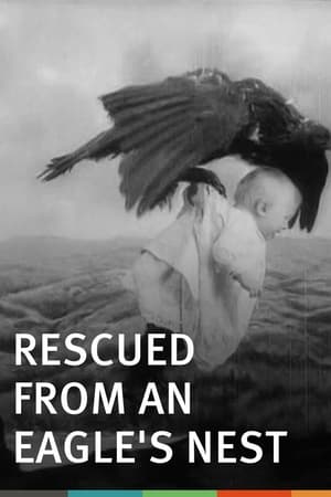 En dvd sur amazon Rescued from an Eagle's Nest