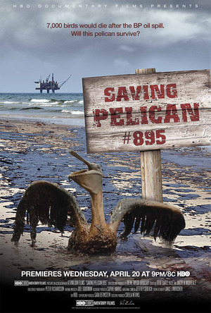 En dvd sur amazon Saving Pelican 895