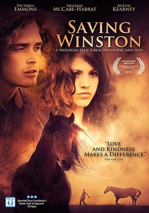 En dvd sur amazon Saving Winston