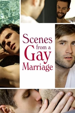 En dvd sur amazon Scenes from a Gay Marriage