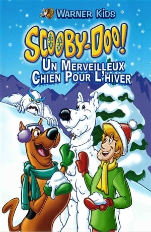 En dvd sur amazon Scooby-Doo! Winter WonderDog