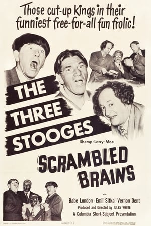 En dvd sur amazon Scrambled Brains