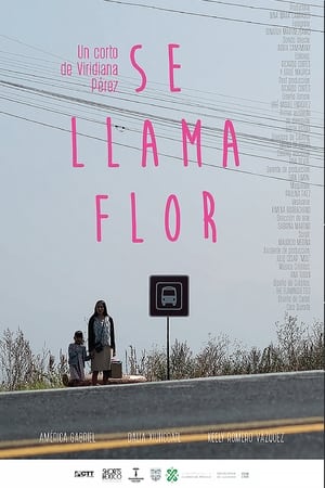 En dvd sur amazon Se Llama Flor