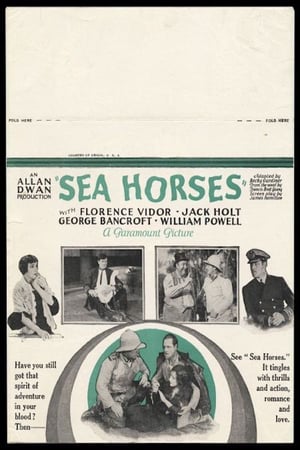 En dvd sur amazon Sea Horses