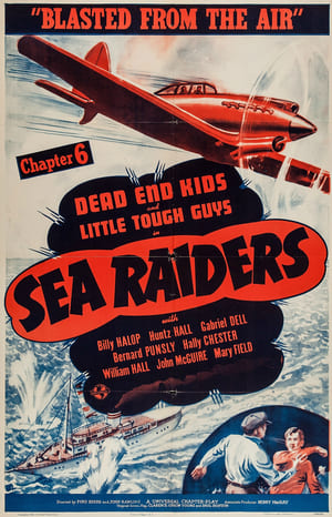 En dvd sur amazon Sea Raiders
