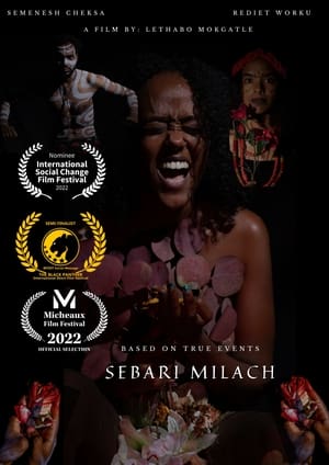 En dvd sur amazon Sebari Milach