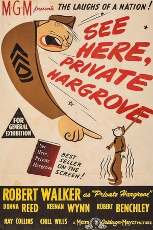 En dvd sur amazon See Here, Private Hargrove