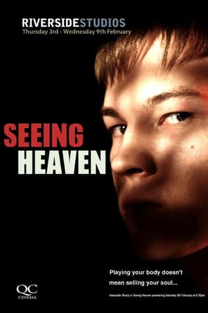En dvd sur amazon Seeing Heaven