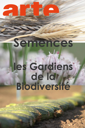 En dvd sur amazon Semences : les gardiens de la biodiversité
