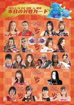 En dvd sur amazon Sendai Girls Joshi Puroresu Big Show 2018 In Niigata