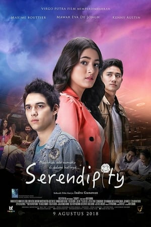 En dvd sur amazon Serendipity