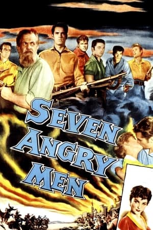 En dvd sur amazon Seven Angry Men