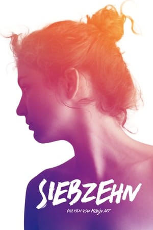 En dvd sur amazon Siebzehn