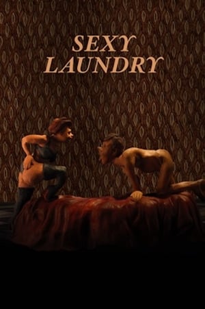 En dvd sur amazon Sexy Laundry