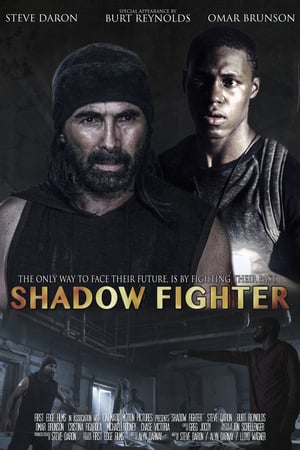 En dvd sur amazon Shadow Fighter