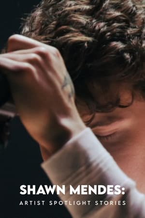 En dvd sur amazon Shawn Mendes: Artist Spotlight Stories
