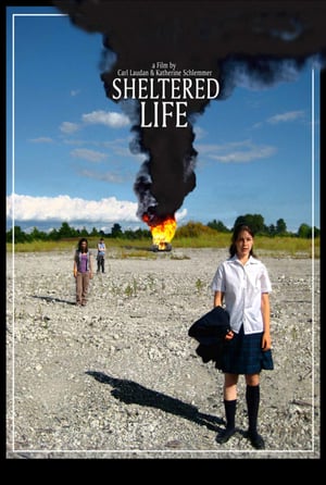 En dvd sur amazon Sheltered Life