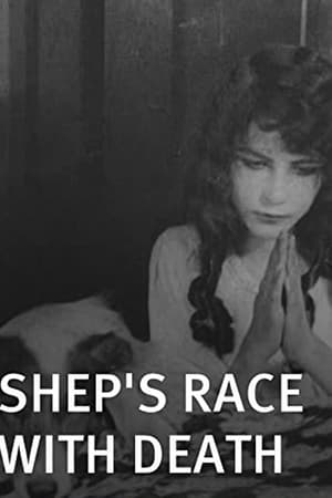 En dvd sur amazon Shep's Race with Death