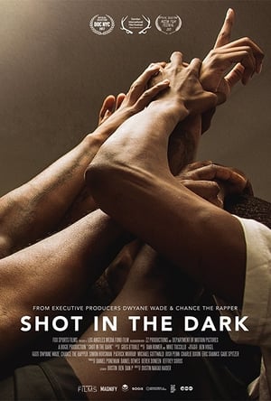 En dvd sur amazon Shot in the Dark