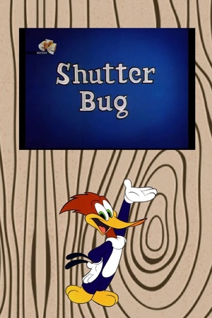 En dvd sur amazon Shutter Bug