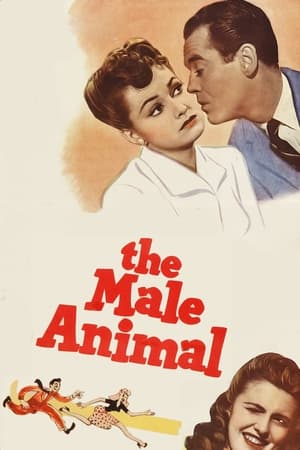 En dvd sur amazon The Male Animal