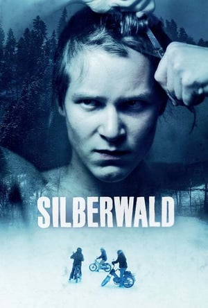 En dvd sur amazon Silberwald