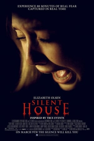 En dvd sur amazon Silent House