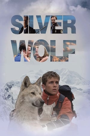 En dvd sur amazon Silver Wolf