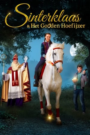 En dvd sur amazon Sinterklaas & Het Gouden Hoefijzer