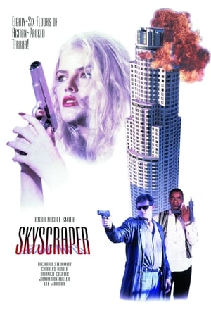 En dvd sur amazon Skyscraper