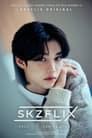 SKZFLIX (樂-STAR)