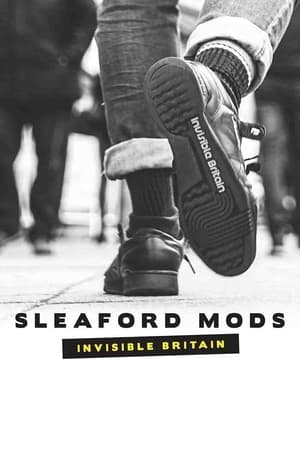 En dvd sur amazon Sleaford Mods: Invisible Britain