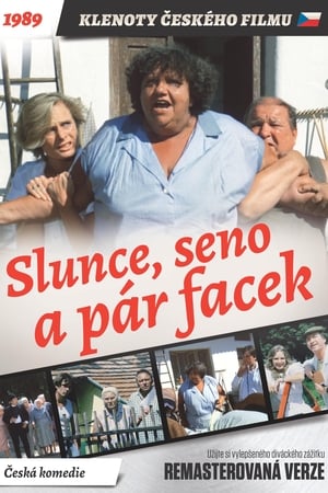 En dvd sur amazon Slunce, seno a pár facek