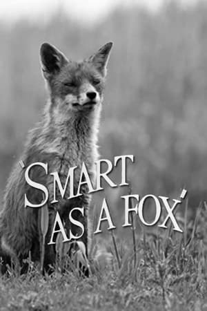En dvd sur amazon Smart as a Fox
