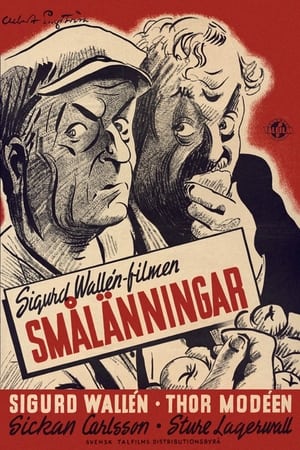 En dvd sur amazon Smålänningar