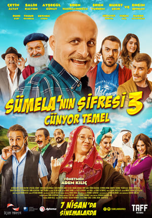 En dvd sur amazon Sümela'nın Şifresi 3: Cünyor Temel