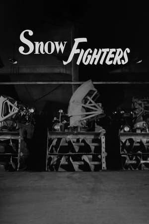 En dvd sur amazon Snow Fighters