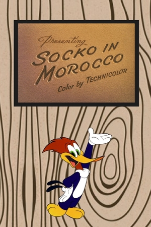 En dvd sur amazon Socko in Morocco