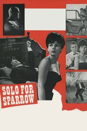 En dvd sur amazon Solo for Sparrow