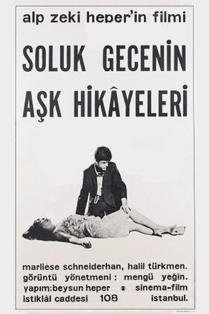 En dvd sur amazon Soluk Gecenin Aşk Hikayeleri