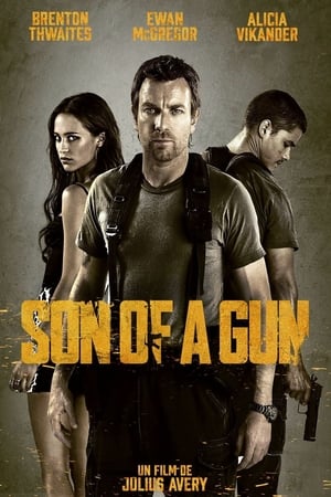 En dvd sur amazon Son of a Gun