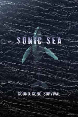 En dvd sur amazon Sonic Sea