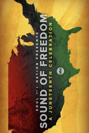 En dvd sur amazon Soul of a Nation Presents: Sound of Freedom – A Juneteenth Celebration