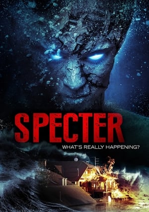 En dvd sur amazon Specter