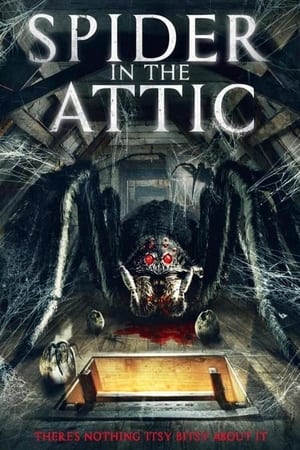 En dvd sur amazon Spider in the Attic