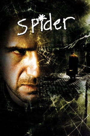 En dvd sur amazon Spider
