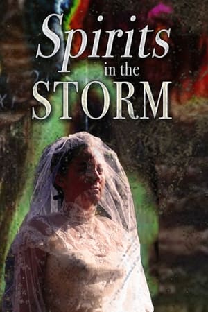 En dvd sur amazon Spirits in the Storm