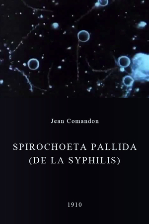 En dvd sur amazon Spirochoeta pallida (de la syphilis)