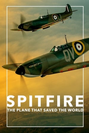 En dvd sur amazon Spitfire