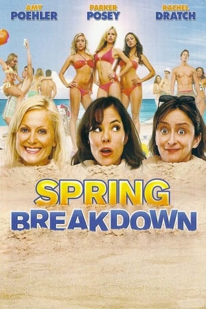 En dvd sur amazon Spring Breakdown